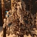 6 февраля скачать фото