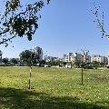 Ашкелон красивый город ) , в гостях у Мамы :) скачать фото