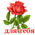 cvety_24.png