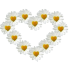 cvety_26.png