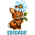 cvety_28.png
