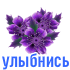 cvety_29.png