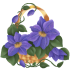 cvety_45.png