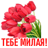 cvety_49.png