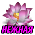cvety_50.png