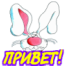 privet_1.png