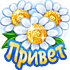 privet_11.png