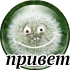 privet_2.png
