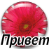 privet_23.png