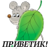 privet_40.png