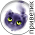 privet_43.png