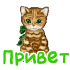 privet_52.png