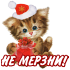 zhivotnye_16.png